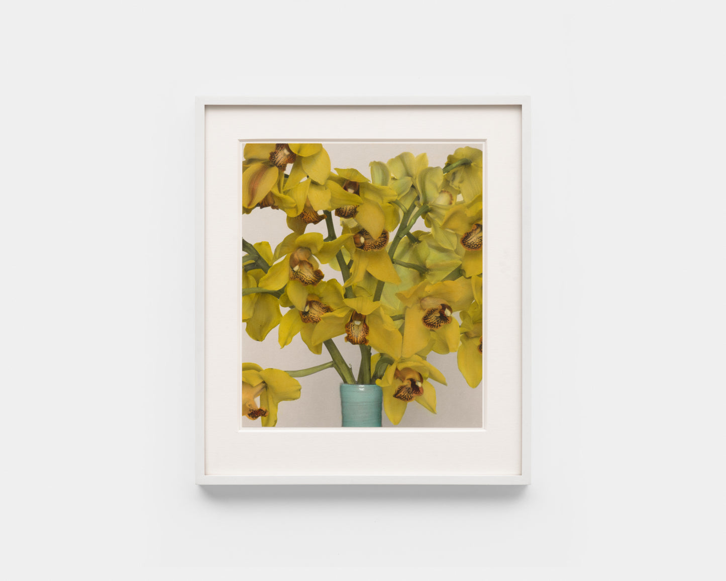 Katharina Renneisen: Orchideen